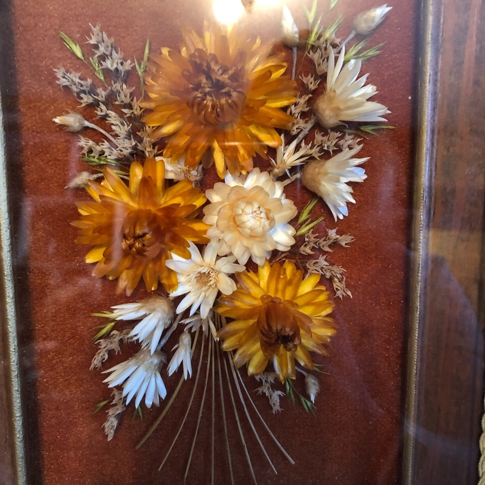 Natural dried flowers framed